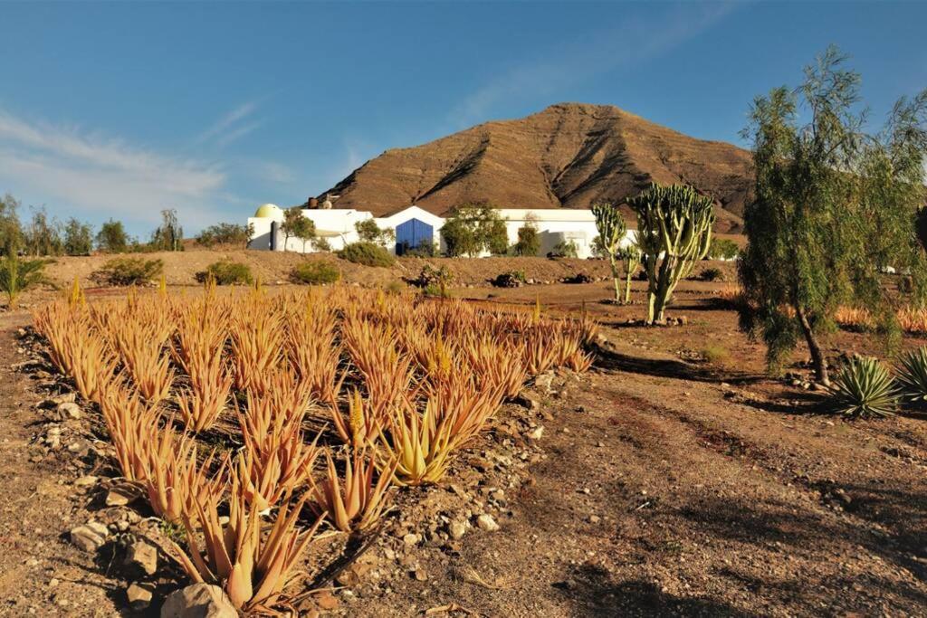 Romantica Fuego - Eco Retreat Finca Artis Tirma Tarajalejo Exteriér fotografie